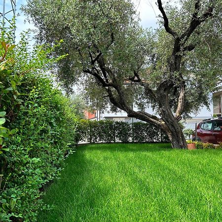 Casa Ciliegi 3 Bed and Breakfast Marostica Eksteriør billede